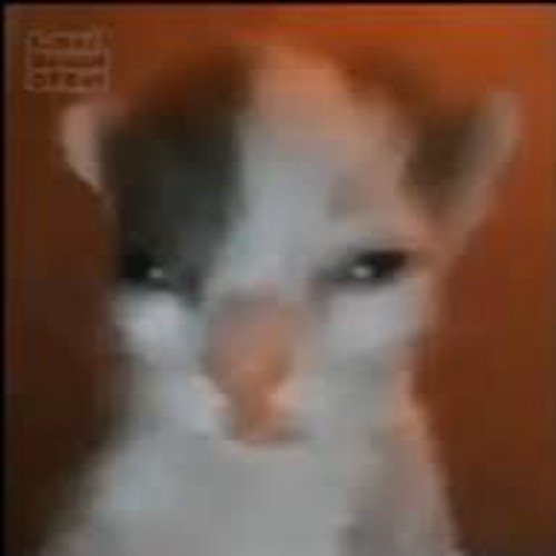 oh.mY.GOD THEYERE PLAYING MYCHEMICALROMANCE