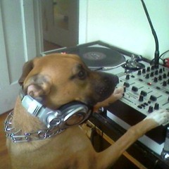 Classic 80's Mix Eargasms DJ 8-Ball