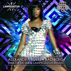 Alexandra Burke ft. Flo Rida - Bad Boys (Hak op de Tak & Lampegastuh Remix)