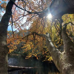 Heaven Is  (Kacey Musgraves Cover)