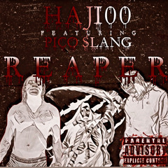 Reaper feat. Pico Slang (prod. deemarc)