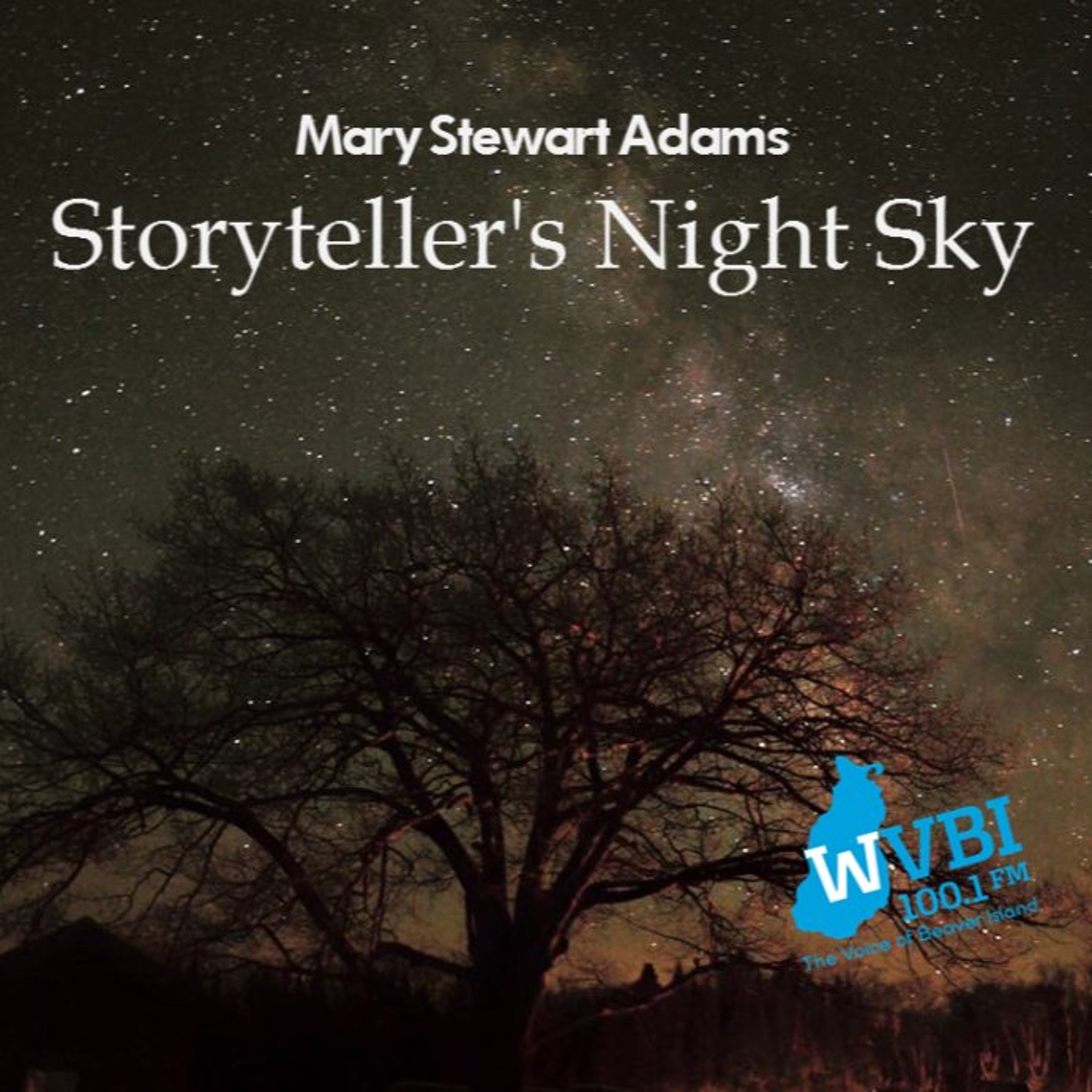 Storyteller's Night Sky 2026-08-13 (Of Meteor Showers and Eclipses) episode artwork