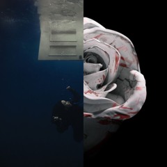 in the back of my mind (wildflower, romantic homicide) [billie eilish, d4vd, jr stit]