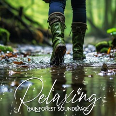 Calming Rainforest Sounds and Deep Relaxation