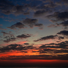 Ted Amber - Vibration