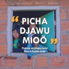 Picha Djawu Mioõ - Ep6 - El Grupo Aché del Jaku'i que Ya No Existe y un Colono Alemán