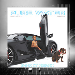 Pure Water - Migos (BOOKY Remix)