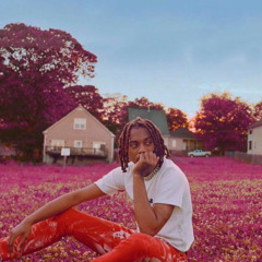Playboi Carti- I fell in love instrumental