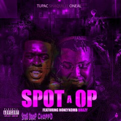 Tupac Shaquille O'Neal x Honeykomb Brazy - Spot A Op (Str8Drop ChoppD remix)