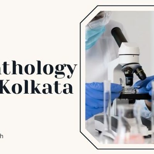 Stream 4 Important Facilities Available With Pathology Lab In Kolkata