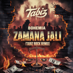 Bohemia - Zamana Jali (TaBiz Rock Remix)