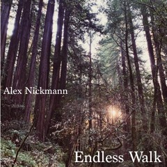 Endless walk