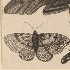 LO SIENTO (NEW DEMO)