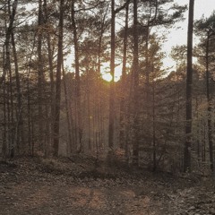 Das Beste von Silbermond [Cover]