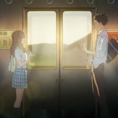 missed train