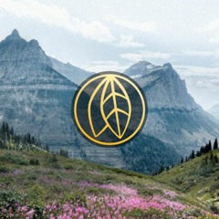 Breathe - FORTUNA