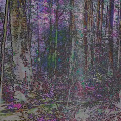 Fireflies Tangled in a Silver Braid (troubled remix)