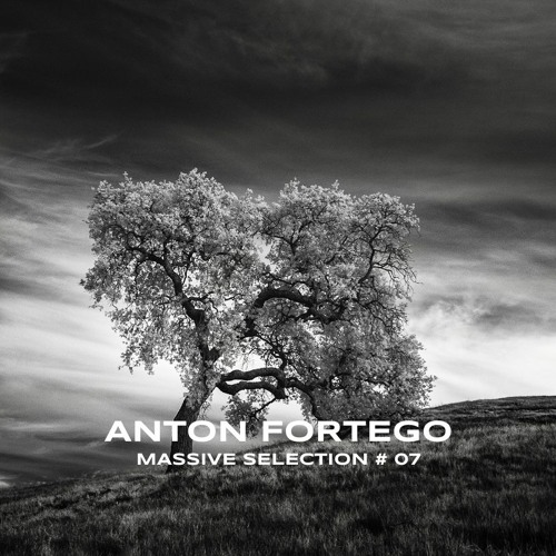 Anton Fortego - Massive Selection 07