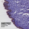 x-marks-the-spot-ghostpoet