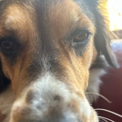 yes indeed prod bullseye