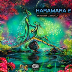 HARAMARA 2 ✨ (Presented By Dj Reach)| 𝙊𝙐𝙏 𝙉𝙊𝙒
