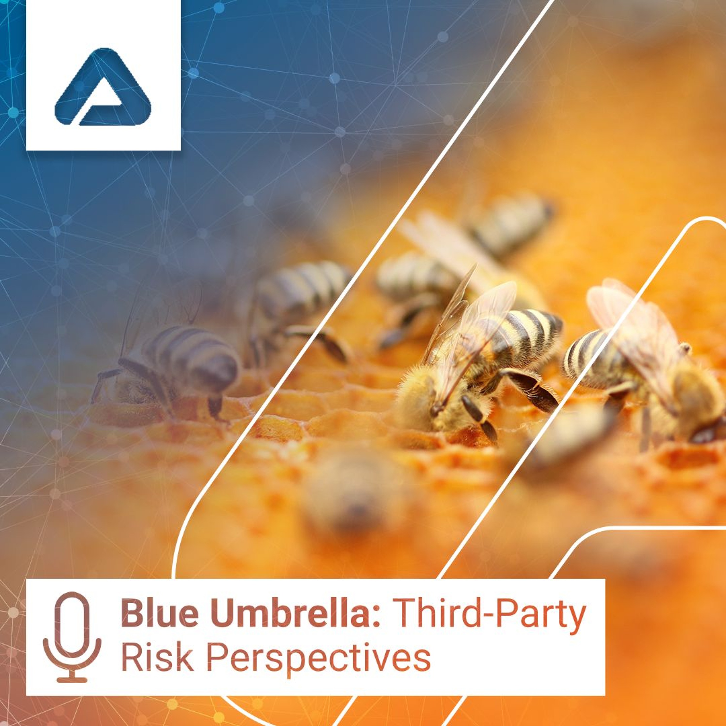 Beyond Legal Risks in Third-Party Risk Management episode artwork