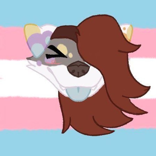 I'm a Work in Progress