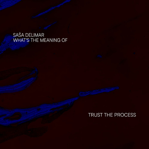 Saša Delimar - See (What's the meaning of)