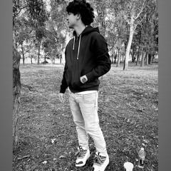 danielescu - swagu meu
