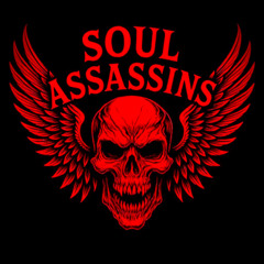 SOUL ASSASSING. 86 BPMwav