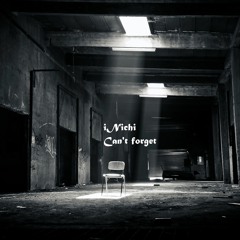 INichi - Can't Forget
