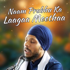 Bhai Manveer Singh - Naam Prabhu Ka Laagaa Meethaa - Birmingham 8.6.24
