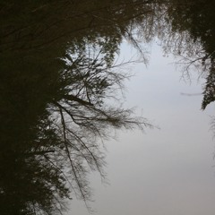 Stand in the Light by Savannah Shea (harm. Ellen Torrie)