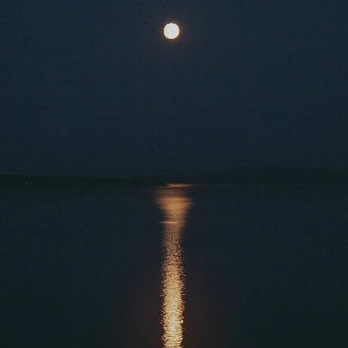 метафізичне 322 - полет