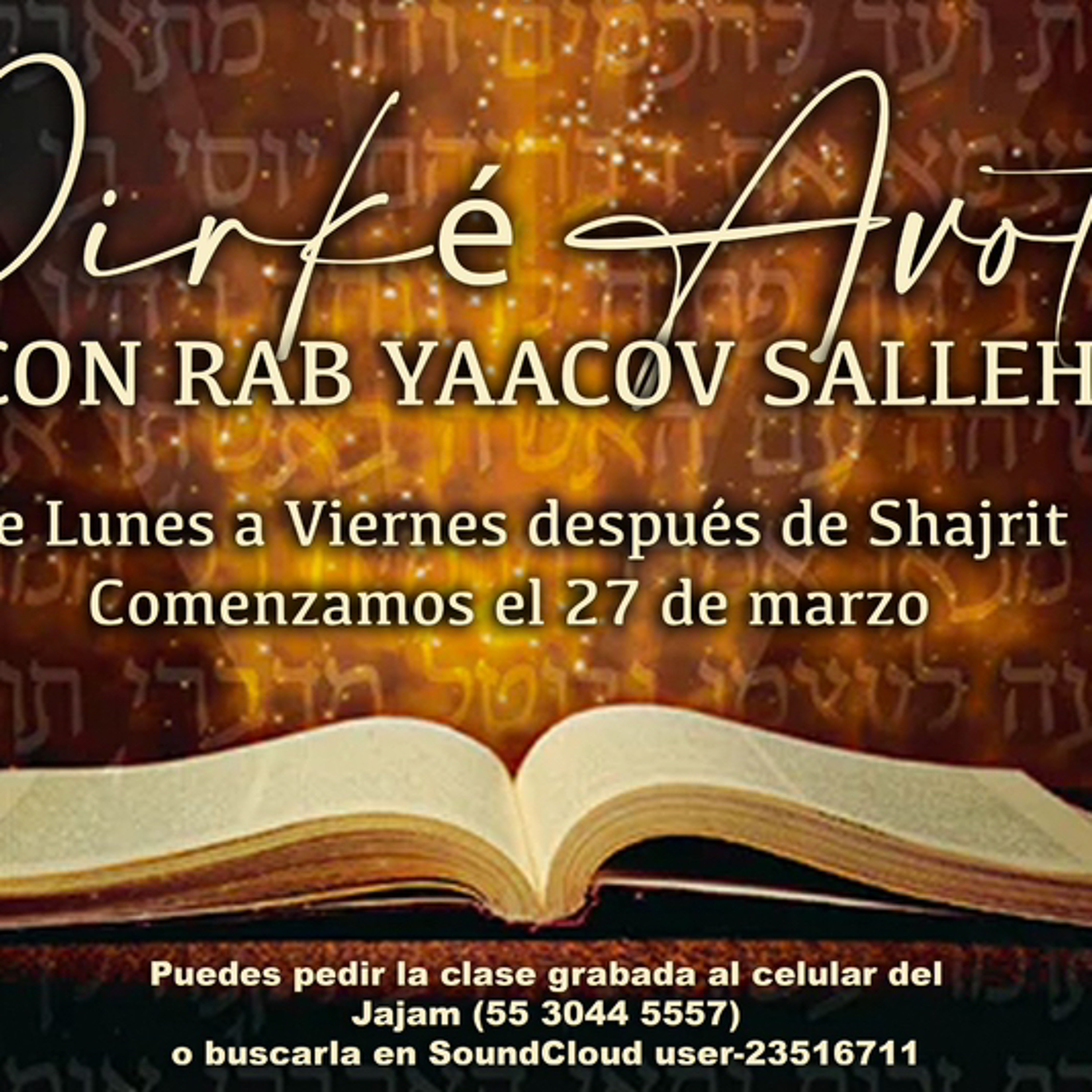 Shiurim de Torá