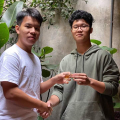 Bản Tình Ca Mùa Hạ