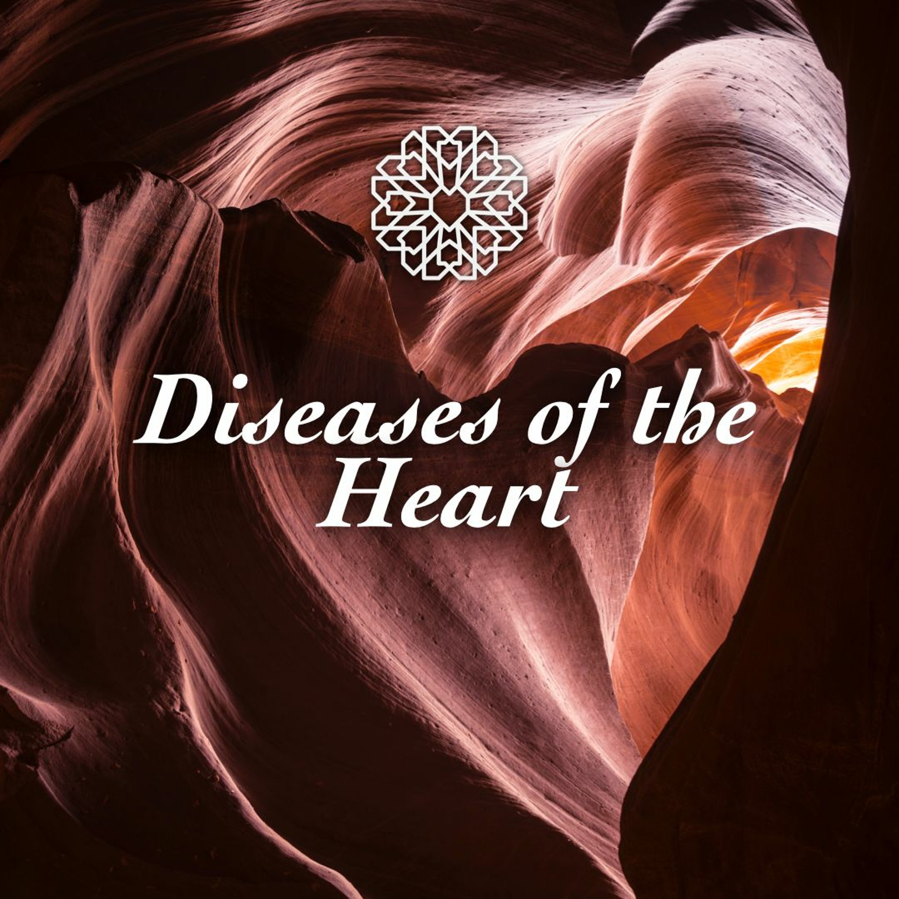 Episode 7.14 • Diseases of the Heart episode artwork