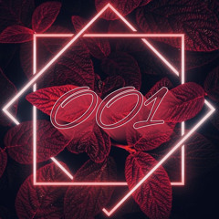 Melodic House Set/001