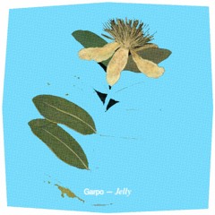 Garpo - Calm / snipp