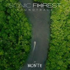 8.Sonic Forest