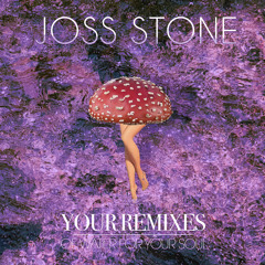 Stuck on You Joss Stone 