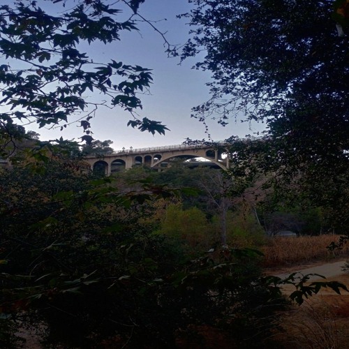 sesh @ suicide bridge {skorm}