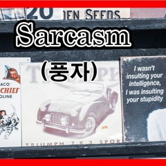 Sarcasm - Ambient & Emotional Chillout Music