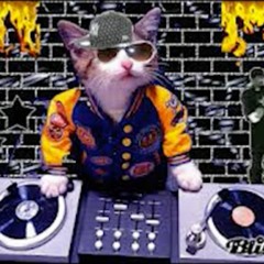 RA†††  - Party Cat [2023]