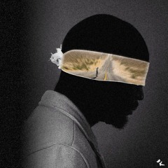 Rnben Ridley x budgie flip