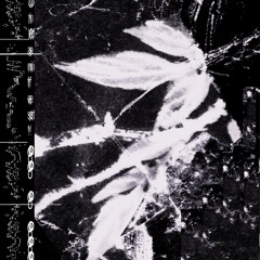 SWALLOW - Printing Posts