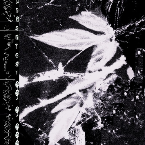 SWALLOW - Printing Posts