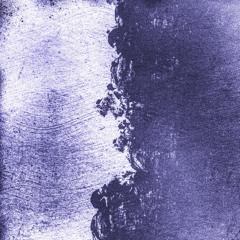 BSIWT II: Cellular Submission (disquiet0512)