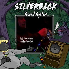 DNB // HUE - SILVERBACK SUNDAY SESSIONS -