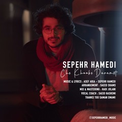 Sepehr Hamedi - Che Khoobe Daramet